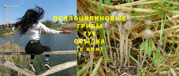 мяу мяу кристалл Бородино