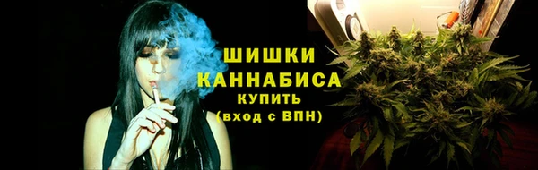 дурь Бронницы