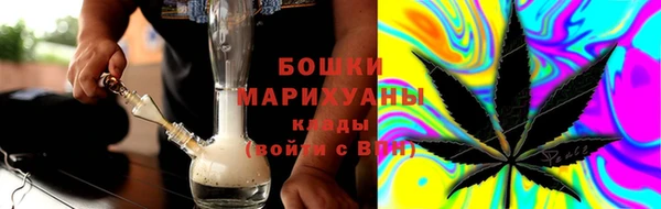 дурь Бронницы