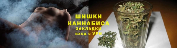 дурь Бронницы
