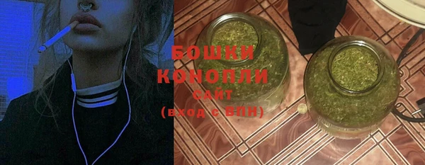 дурь Бронницы