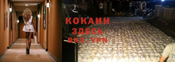 дурь Бронницы