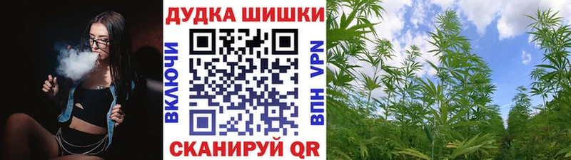 Шишки марихуана конопля  Томмот 